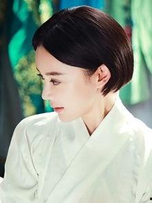 电视剧云巅之上演员表,星光熠熠，实力派与新生代同台竞技