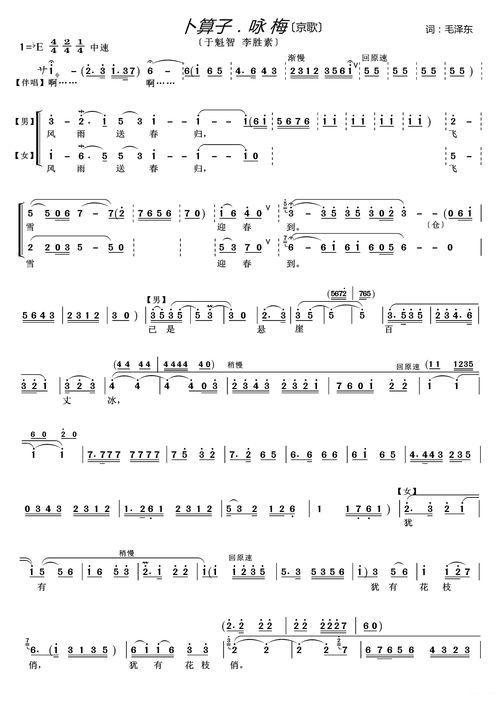 卜算子咏梅背景伴奏,卜算子韵律中的岁月流转