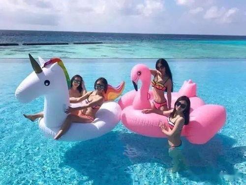 火烈鸟娱乐,打造多元化娱乐生态的璀璨明珠