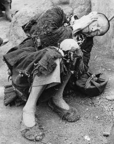 饿死人图片,饿殍遍野，揭示生存困境的残酷现实