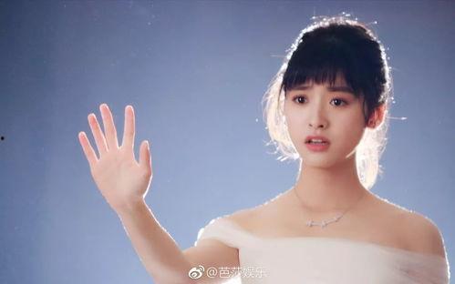 道明寺家庭背景,道明寺家族的辉煌与传承