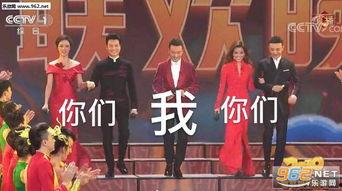 春晚 表情包 演奏,欢乐音符中的年度记忆